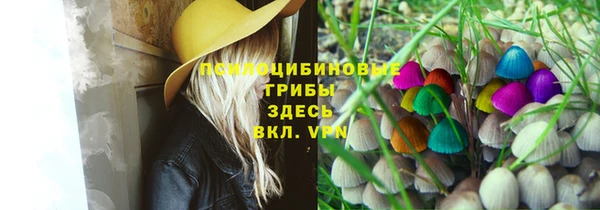 PSILOCYBIN Иннополис