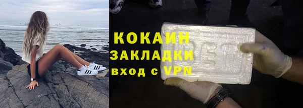 ешки Инта