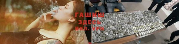 тгк Инсар