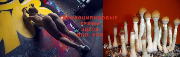 тгк Инсар