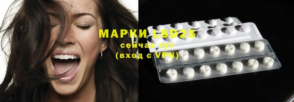 ешки Инта