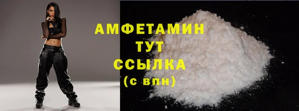 ешки Инта