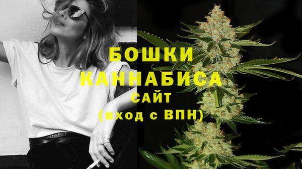 PSILOCYBIN Иннополис