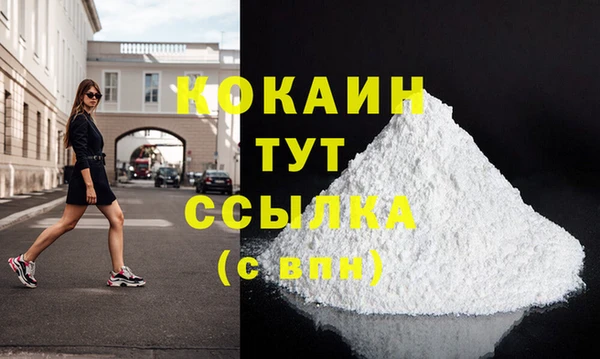 тгк Инсар