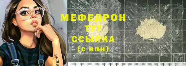 ешки Инта