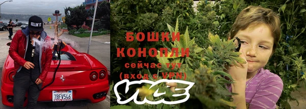 тгк Инсар