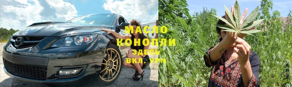 тгк Инсар