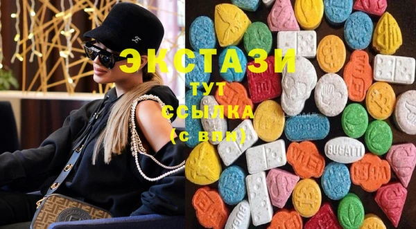 ешки Инта