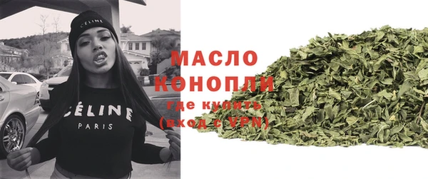 тгк Инсар