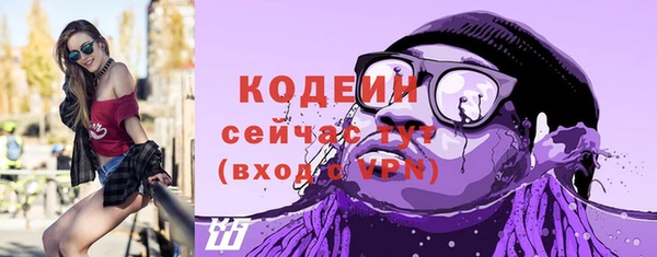 ешки Инта
