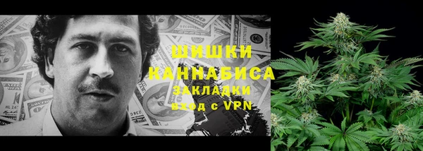 PSILOCYBIN Иннополис