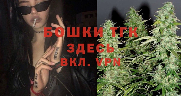 ешки Инта