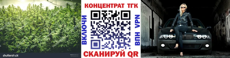 Купить где  Горячий Ключ  ТГК THC oil 