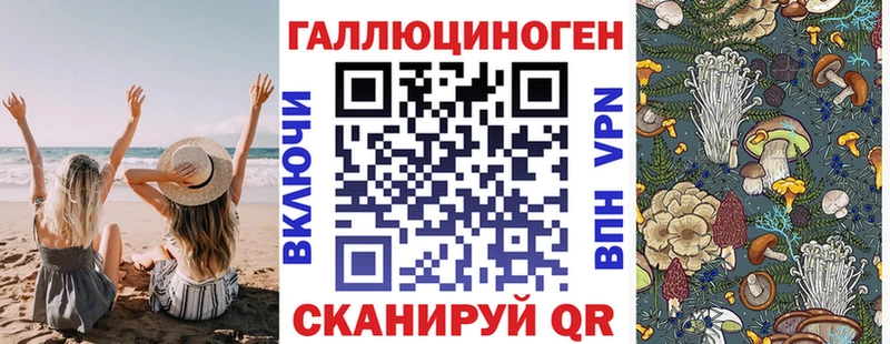 Купить Горячий Ключ Галлюциногенные грибы Magic Shrooms